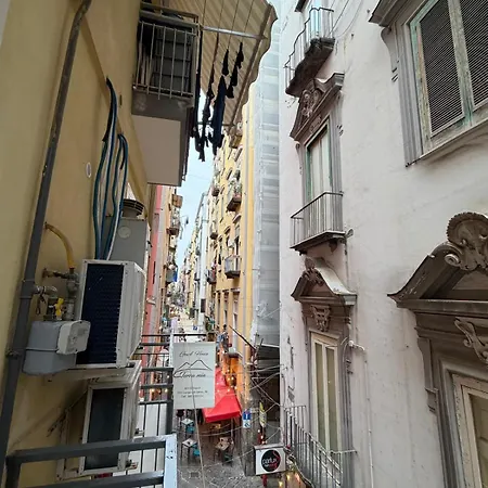 Πανσιόν Terra Mia A Toledo 4*
